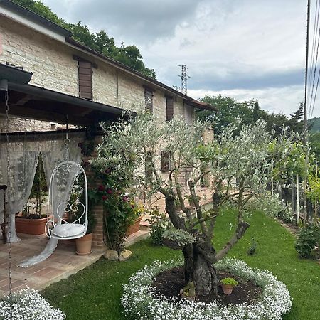 B&B Il Poggetto Serra Sant'Abbondio Exterior photo