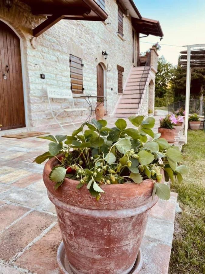 B&B Il Poggetto Serra Sant'Abbondio Exterior photo