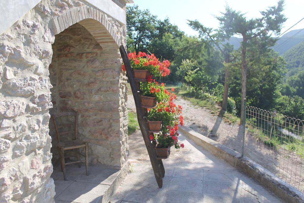 B&B Il Poggetto Serra Sant'Abbondio Exterior photo